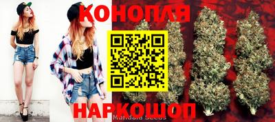 спиды Кунгур