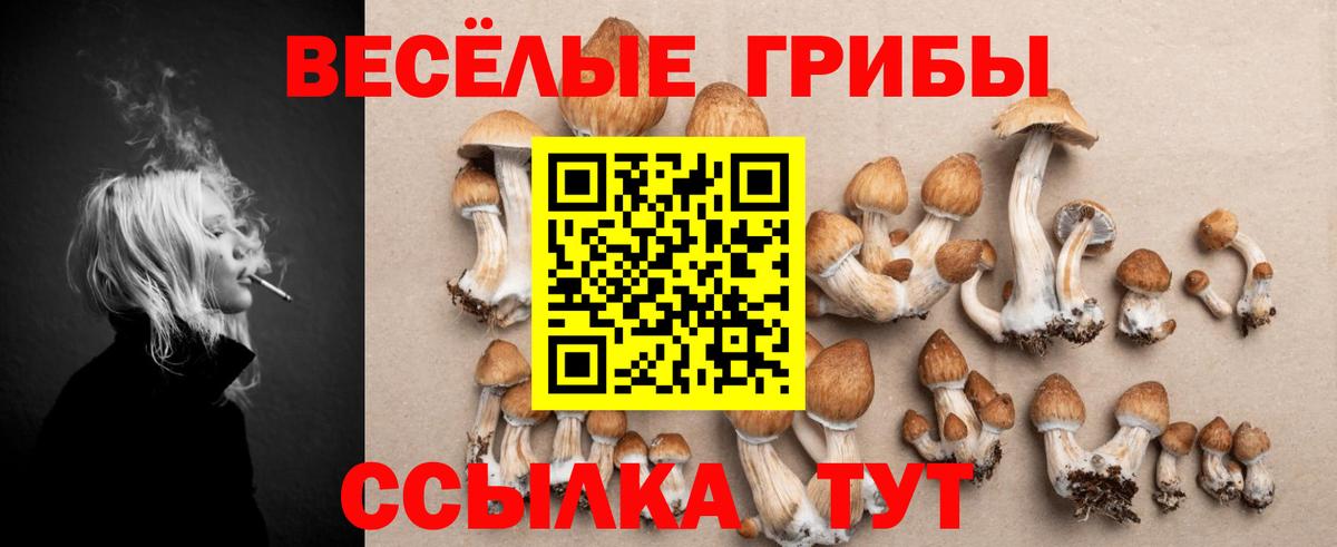 Камышин  Псилоцибиновые грибы GOLDEN TEACHER  Вход с VPN 